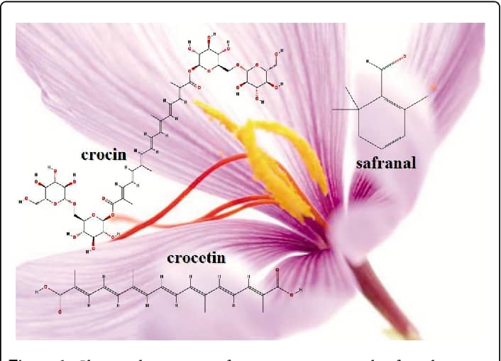 Crocin