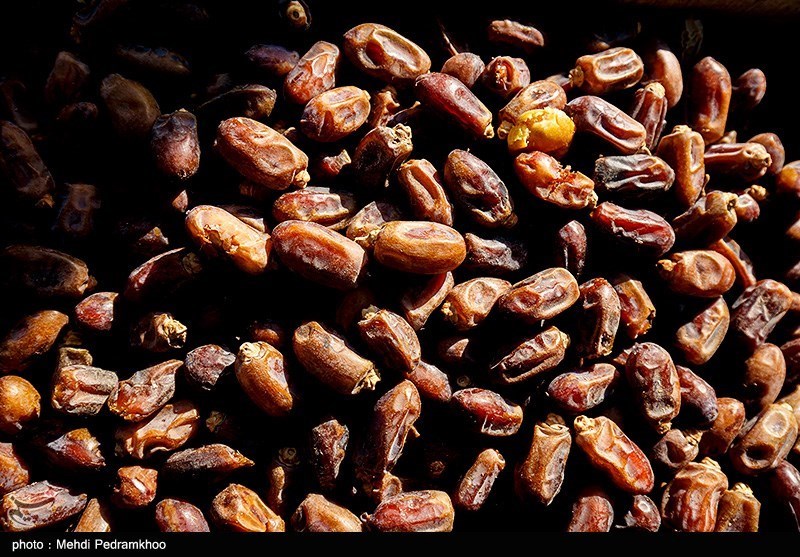 Khuzestan Date Exports