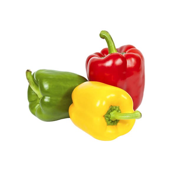 Bell Pepper Iran