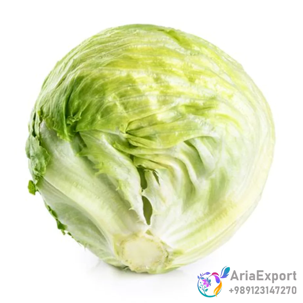 iceberg lettuce nutritional facts
