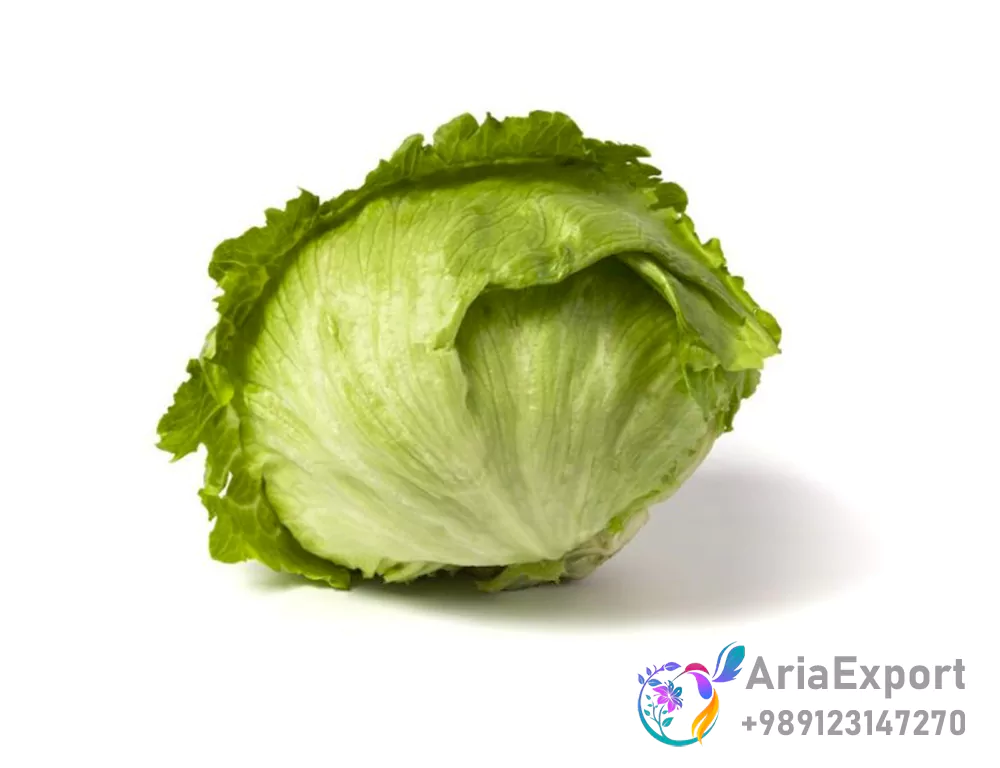 iceberg lettuce benefits