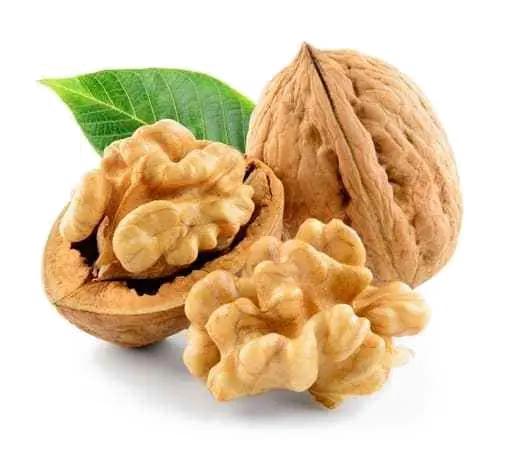 Walnut