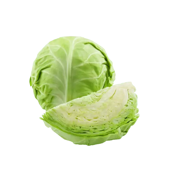 Cabbage