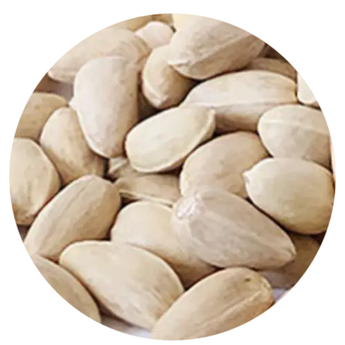 Akbari Closed Shell Pistachio