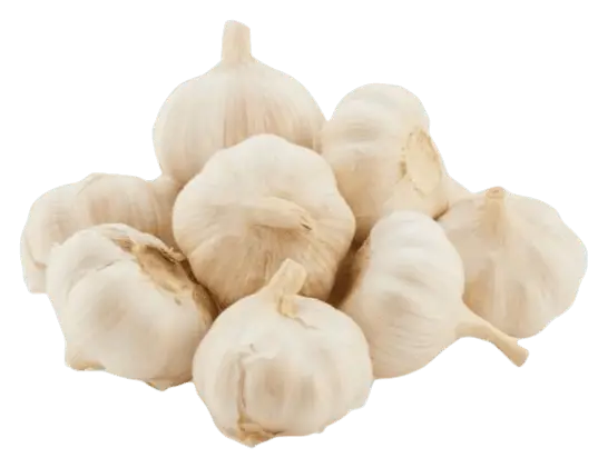 Dried Garlic