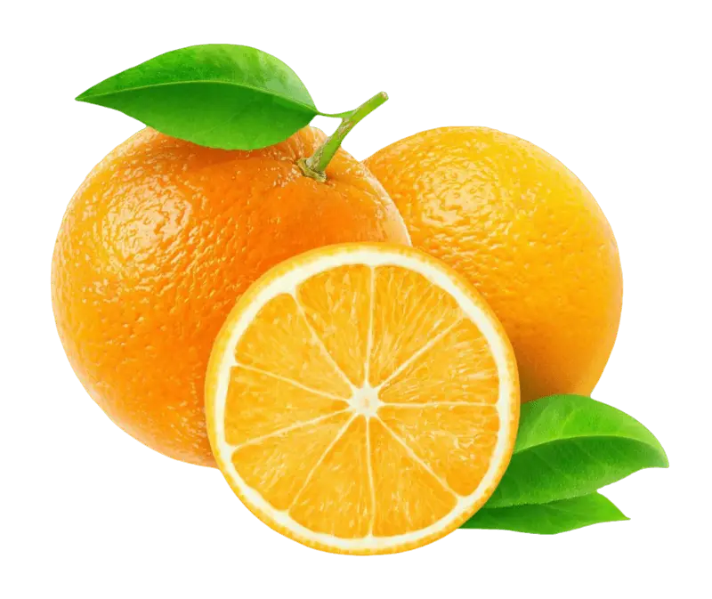 Valencia Oranges