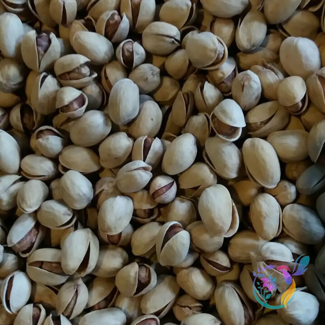 Kaleh Ghouchi (jumbo) Mechanically-Opened Pistachio