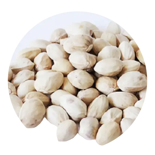 Fandoghi (Round) Closed Shell Pistachios