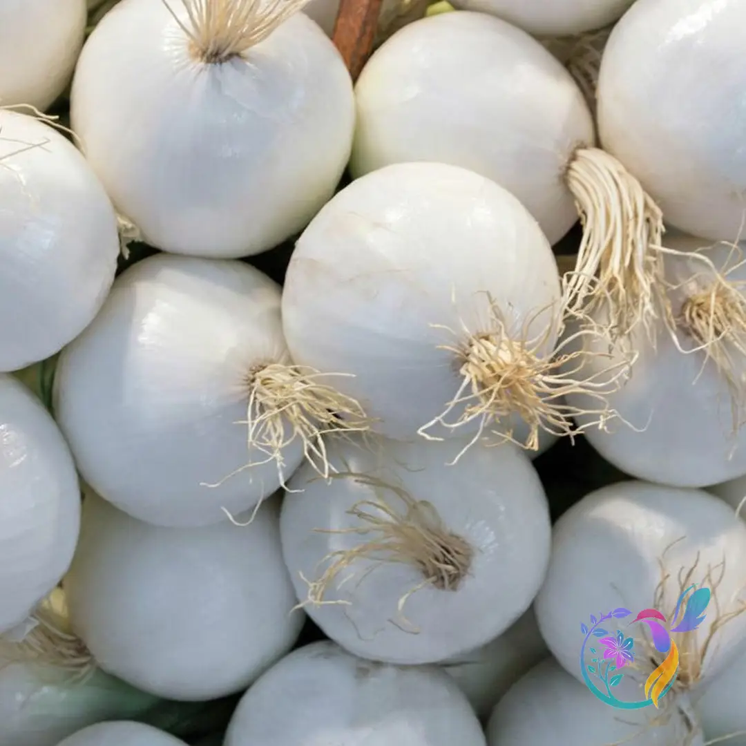 White Onion