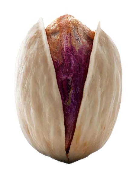 Fandoghi (Round) Pistachio