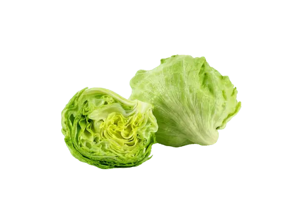 Iceberg Lettuce