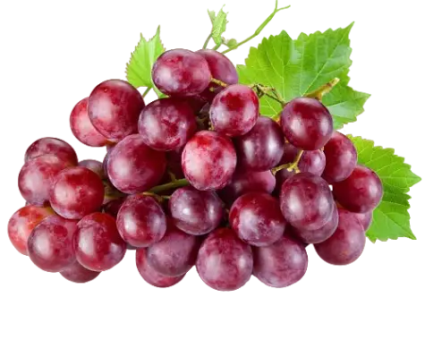 Grapes (Yaqouti)