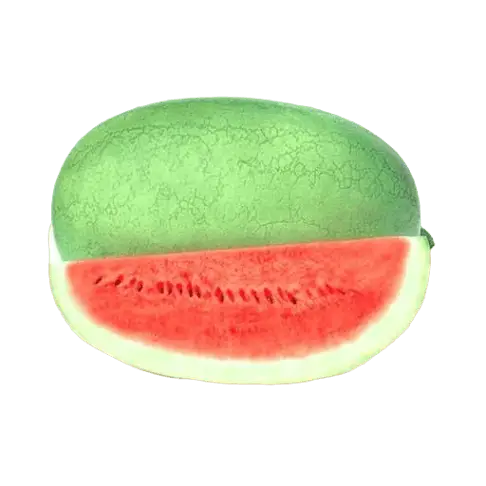 Watermelon Sakata