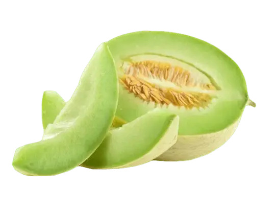 Honeydew Melon