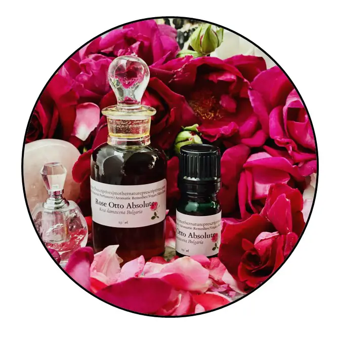 Damask Rose Absolute Essential Oil