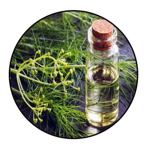 Fennel Essence