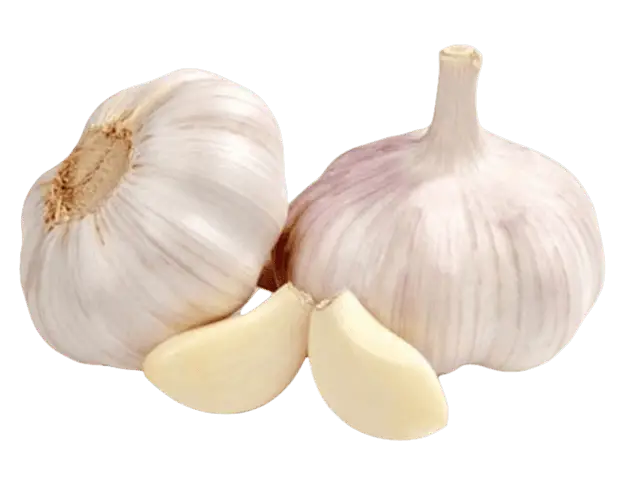 Fresh Garlic