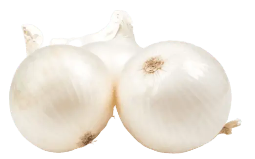 White Onion