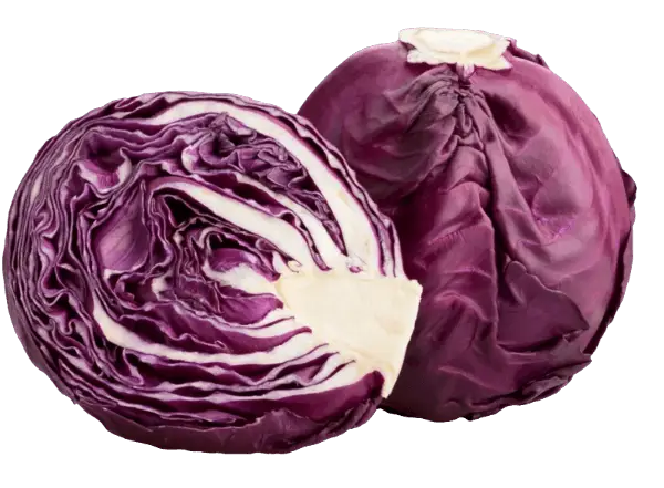 Red Cabbage