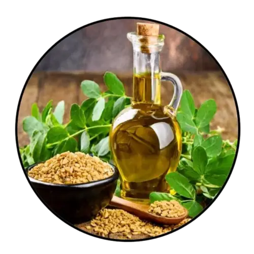 Fenugreek Essence