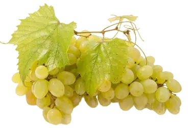 Grapes (Keshmeshi)