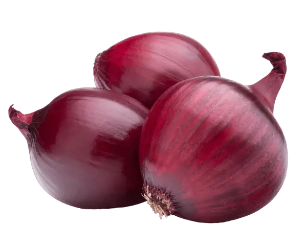 Red Onion