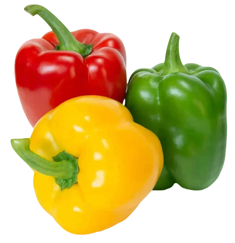 Bell Pepper