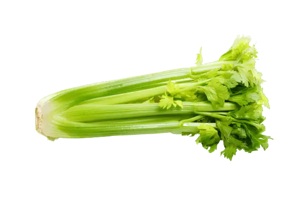 Celery