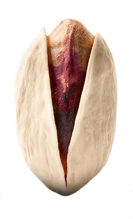 Akbari (Long) Pistachio