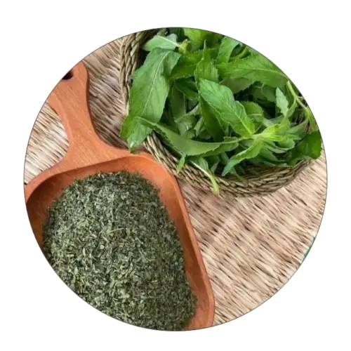 Dried Mint