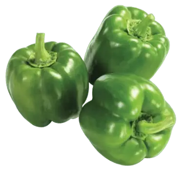 Green Bell Pepper