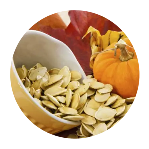 Pumpkin Seeds