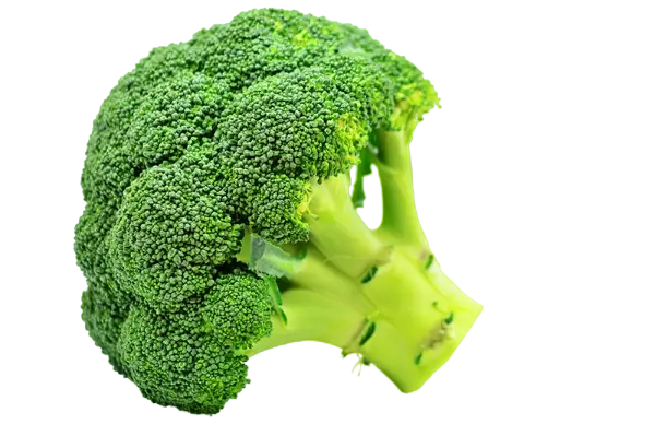 Broccoli