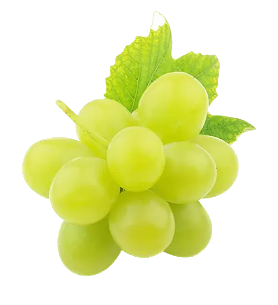 Grapes (Fakhri)