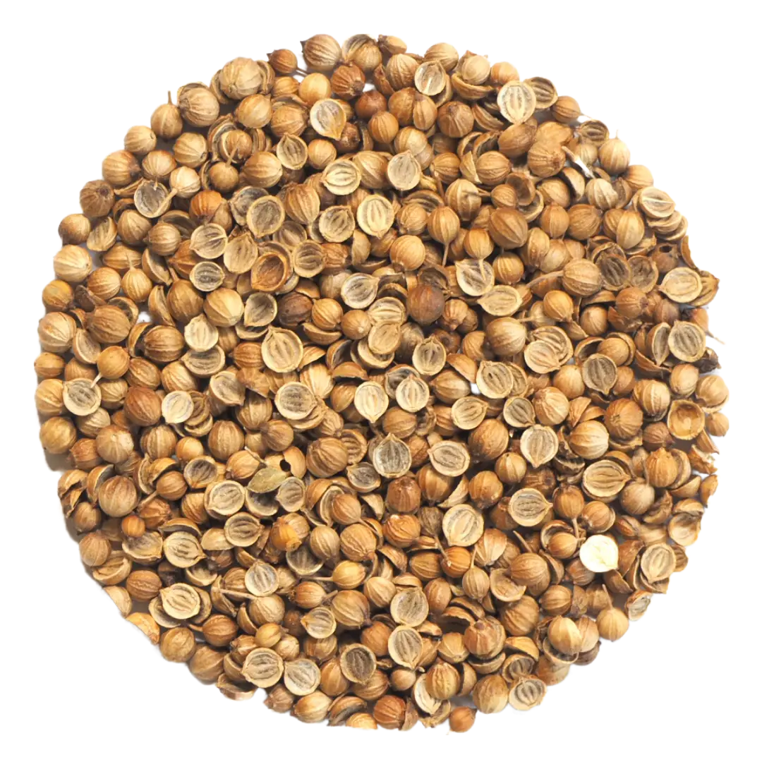 Coriander Split Seeds