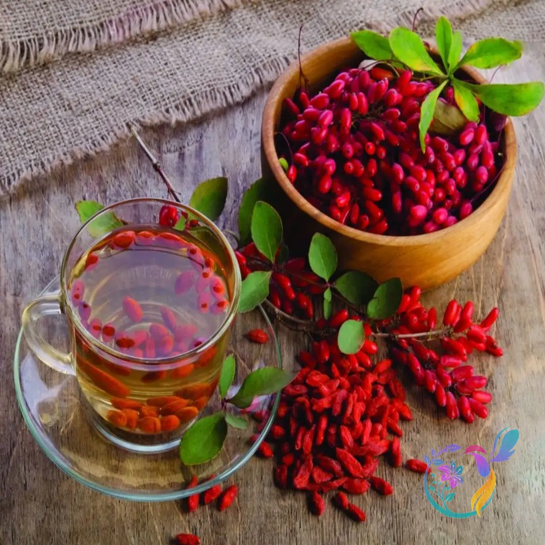 Puffy Barberry (Pofaki)