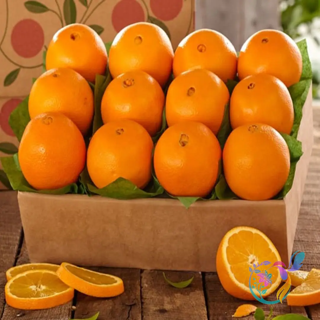 Thomson Oranges