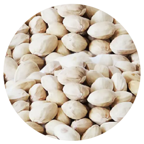 Kaleh Ghouchi (Jumbo) Closed Shell Pistachios